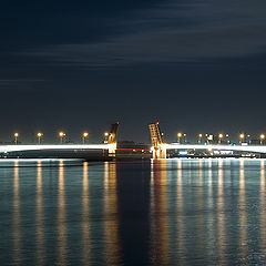 photo "Night lights"