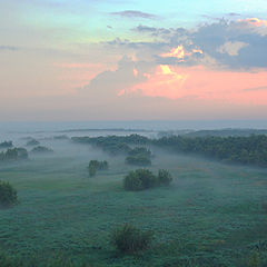 photo "Hunting for a fogs -2"