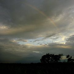 photo "Paper Birds and Rainbow"