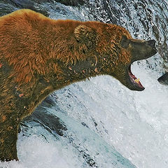 photo "Classical Bear"