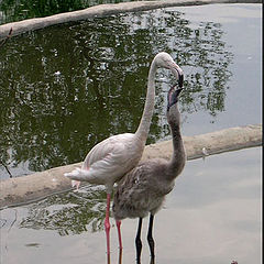 photo "Regularity of feeding..."