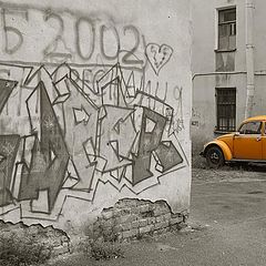 photo "Orange Beetle."