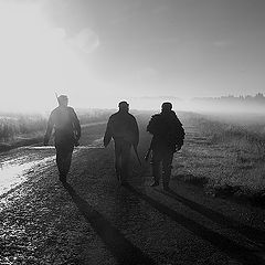 фото "Утренняя охота"