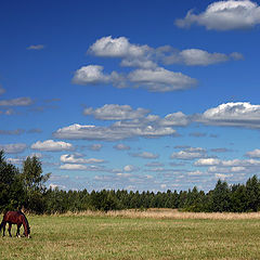 photo "Rural view"