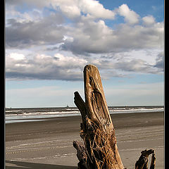 photo "Stepson of the Tide"