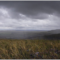 photo "And it started raining..."