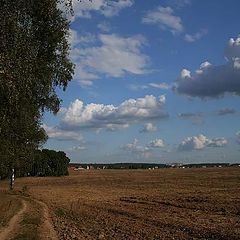 photo "The road home"