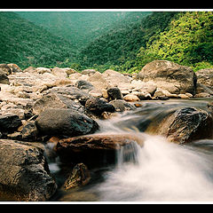 фото "en Tunari"