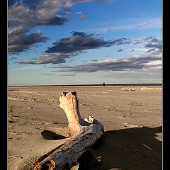 photo "A Break Before the Tide"