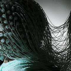 photo "eeg"