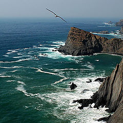 фото "Portuguese Coast"