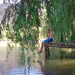 photo "Summer midday"