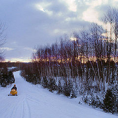 photo "Winter Trail Sunset"