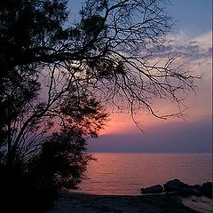 photo "My sunset!!!"