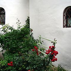 photo "monastery flowers"