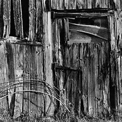 фото "the door"