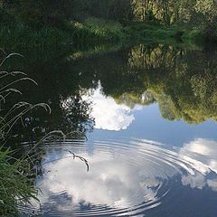 photo "The small river"