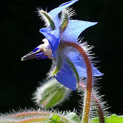 photo "To wind on a meeting"