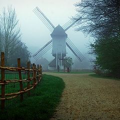 фото "windmill"