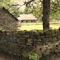 photo "Fencing 2"