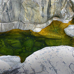 photo "River of clear waters"