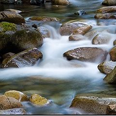 photo "Between Waters"