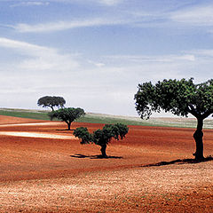 photo "En Alentejo"