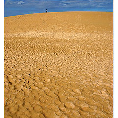 photo "sandman (berenice)"