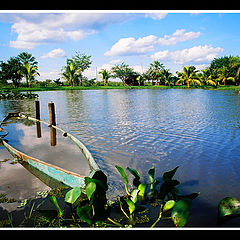 фото "en la laguna"