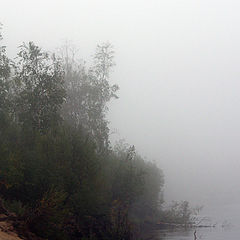 фото "Берег туманной реки"