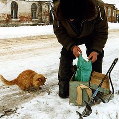 photo "After winter fishing.The cat's customs."