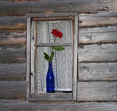 photo "Old window"