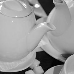photo "white tea"