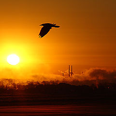 photo "The Dawning on city..."