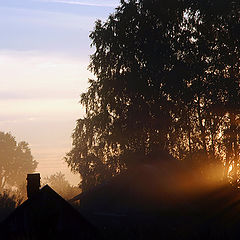 photo "First sunshine gleams"