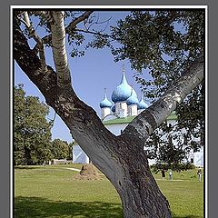 photo "Suzdal. A kind to the Kremlin"