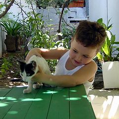 photo "cat and child"