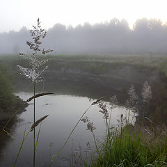 photo "Morning fog"