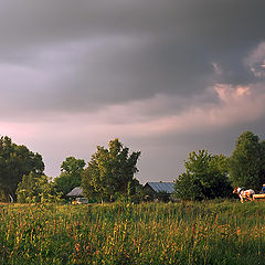 photo "Rural etude"