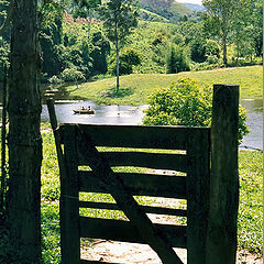 photo "Wooden gate"