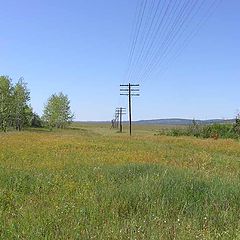 photo "Steppe"