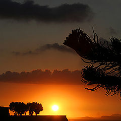 photo "Sunset in orange tones"