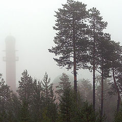 photo "Mosque in mist"