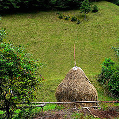 photo "Country side"