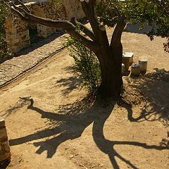 photo "Monastery midday"