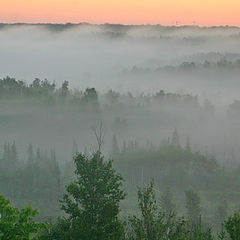 фото "foggy morning"