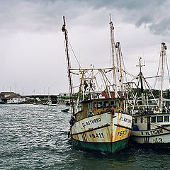 photo "Punta Arenas"