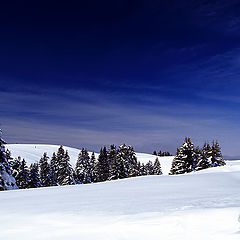 фото "Paradis Blanc"