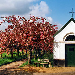 фото "NEERIJSE"