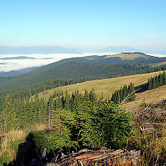 photo "The Carpathians"